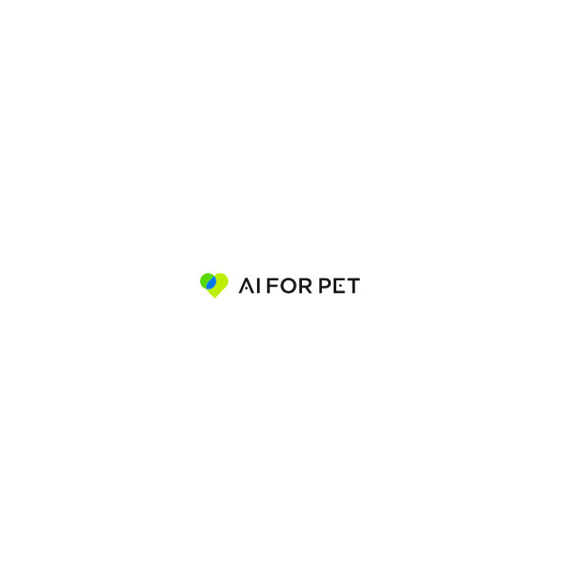 AIFORPET Corp.